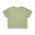 CROP TEE  - Pistachio
