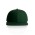 STOCK CAP  - Forest Green