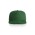 SURF CAP  - Forest Green