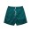 BEACH SHORTS  - ATLANTIC