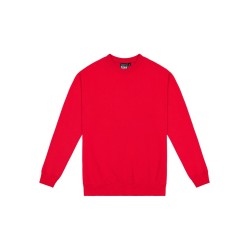 Standard Crew Neck Sweat - Kids
