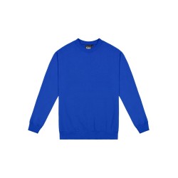 Standard Crew Neck Sweat - Kids