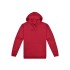 Origin Hoodie - Mens