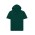 Short-Sleeved Origin Hoodie - Bottle