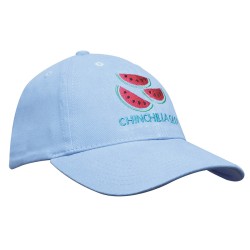 Brushed Heavy Cotton Youth Size Cap