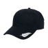 Silver Fern Cap