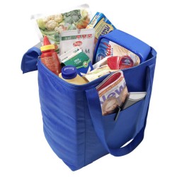Non-woven Cooler
