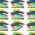 AD Labels 70 x 50mm - House Shaped - Clear
