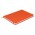 Omega Notebook - Orange