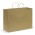 Paper Carry Bag - Extra Large - White