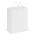 Laminated Carry Bag - Medium - White