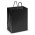 Laminated Carry Bag - Medium - Black
