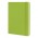 Moleskine Classic Hard Cover Notebook - Large - Light Green