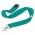 Glow in the Dark Logo Lanyard - teal