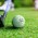 Pinnacle Distance Golf Ball - White