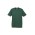 Mens Ice Short Sleeve Tee - T10012 - Forest