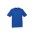 Mens Ice Short Sleeve Tee - T10012 - Royal