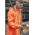 Unisex Super Light Packable Rain Jacket - ZJ260 - Orange